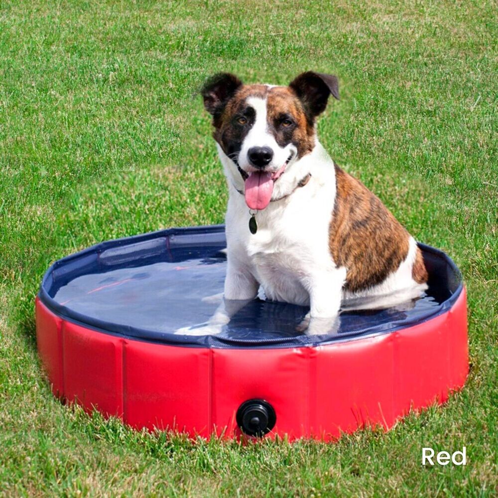 Floofi Pet Pool 120cm*30cm XL Red FI-SB-105-SG - DogsDomain.com.au