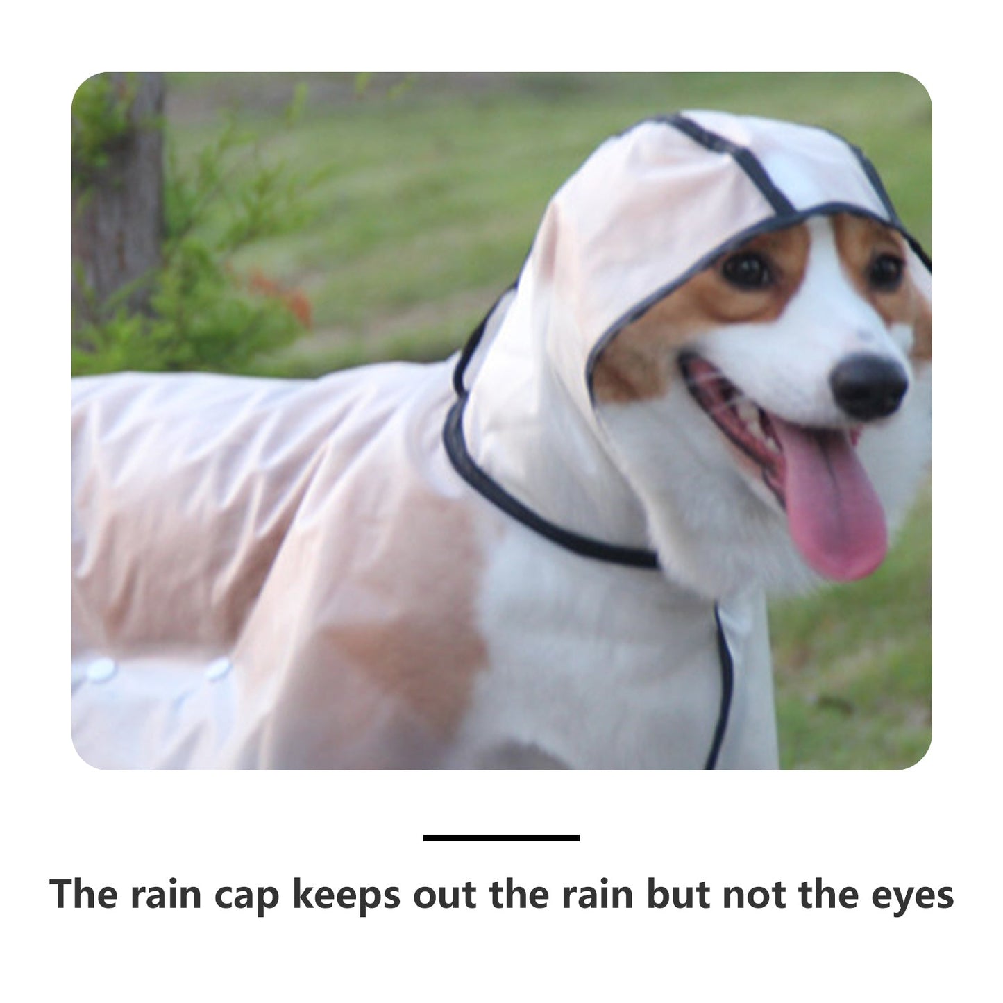 Pawfriends TPU Transparent Pet Cape Raincoat Large Dog Teddy Fado Koki Dog Clothing XXXL - DogsDomain.com.au
