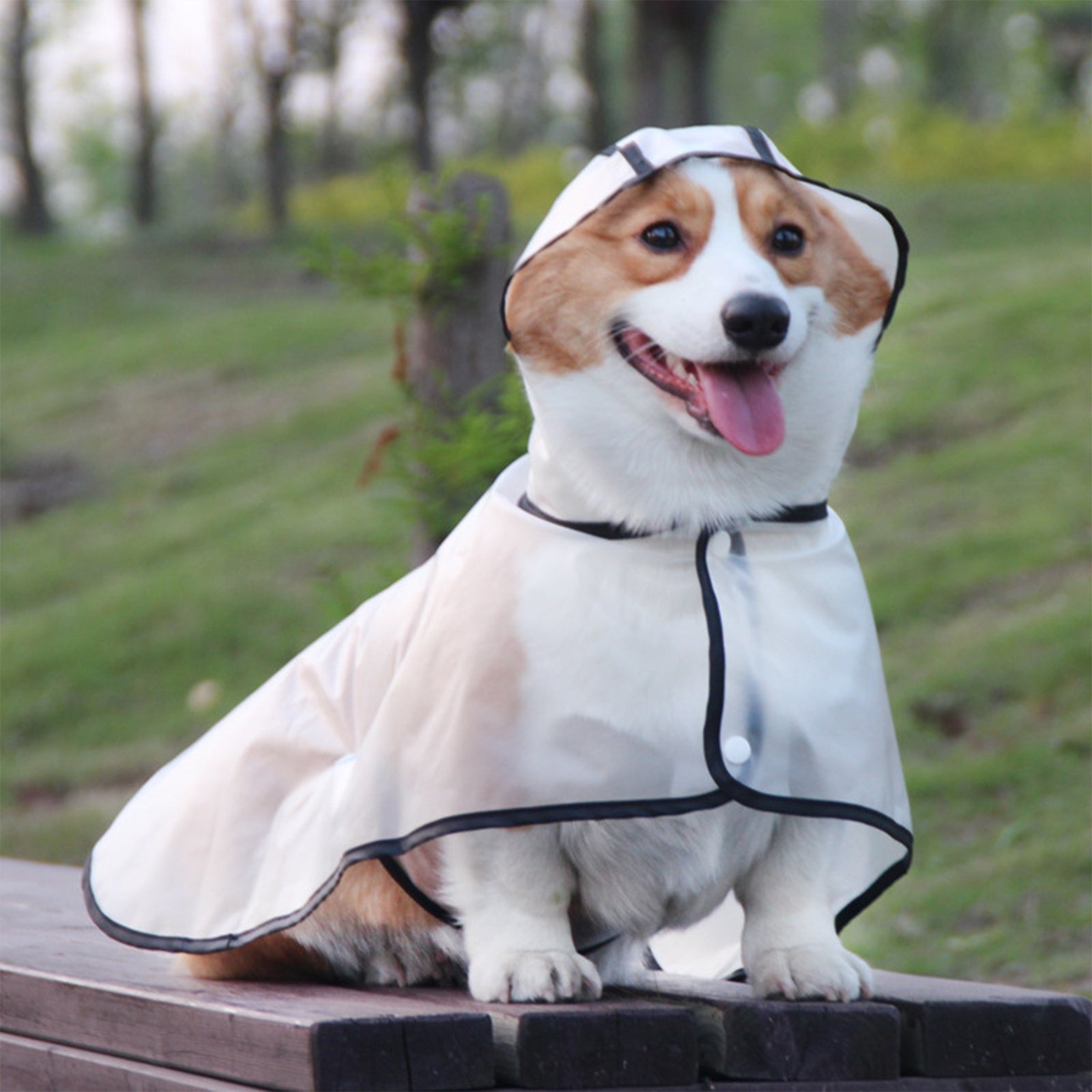 Pawfriends TPU Transparent Pet Cape Raincoat Large Dog Teddy Fado Koki Dog Clothing XXXL - DogsDomain.com.au