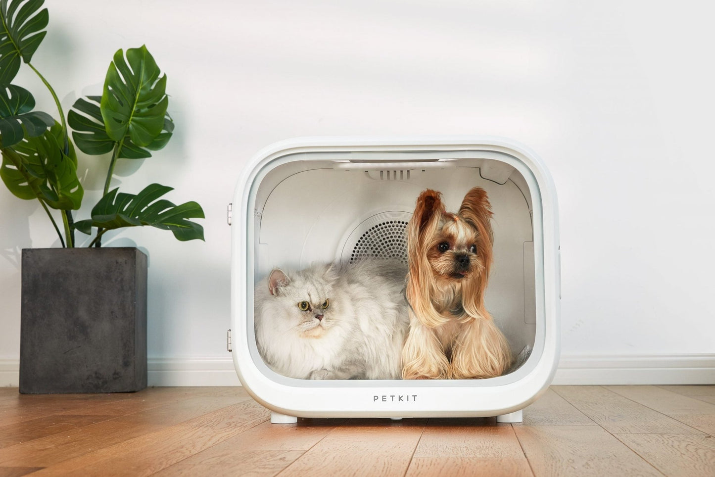 PETKIT AIRSALON Smart Pet Dryer Box - DogsDomain.com.au