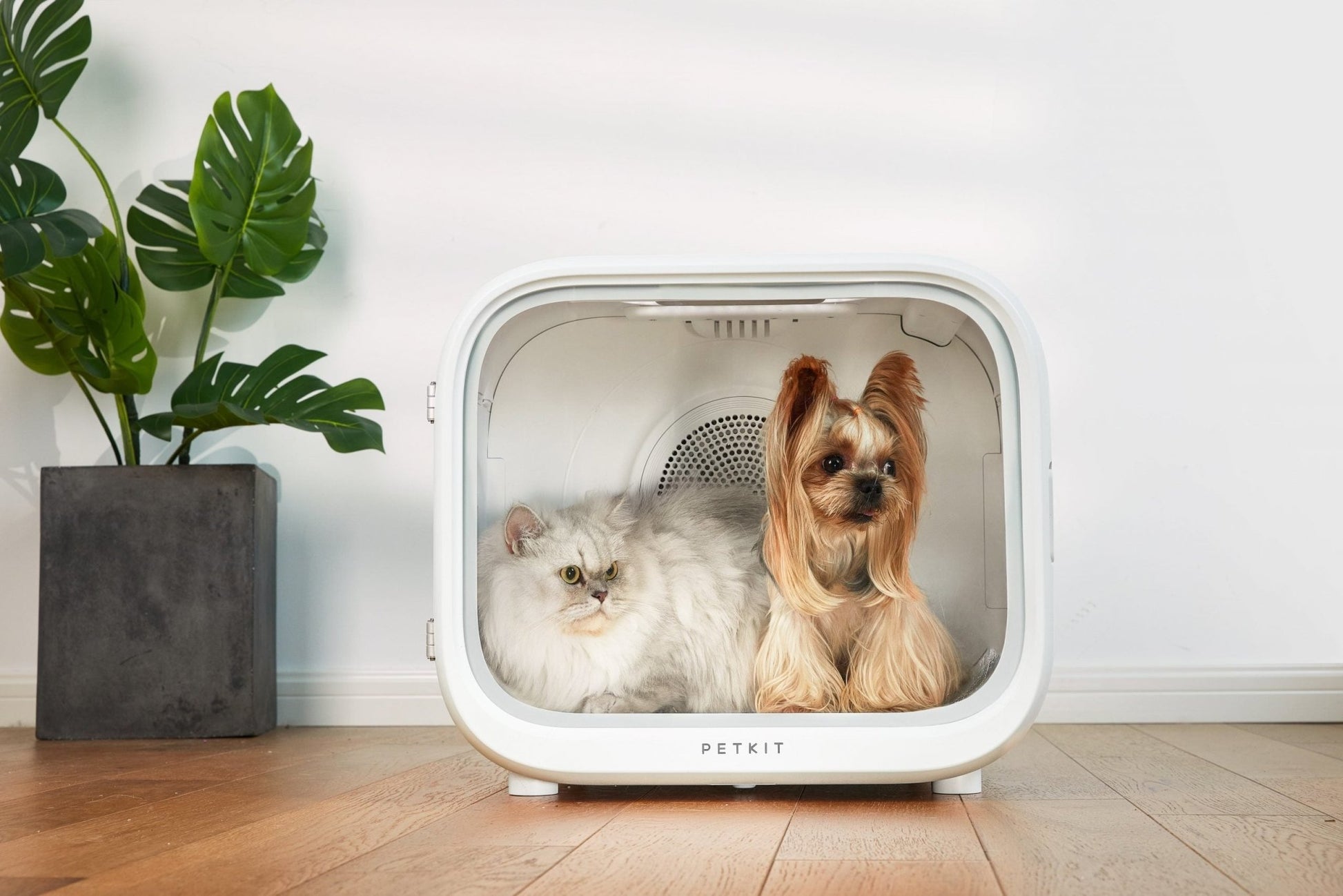 PETKIT AIRSALON Smart Pet Dryer Box - DogsDomain.com.au