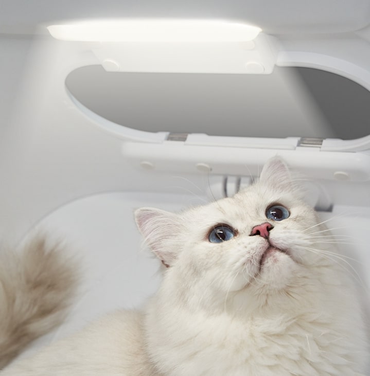 PETKIT AIRSALON Smart Pet Dryer Box - DogsDomain.com.au