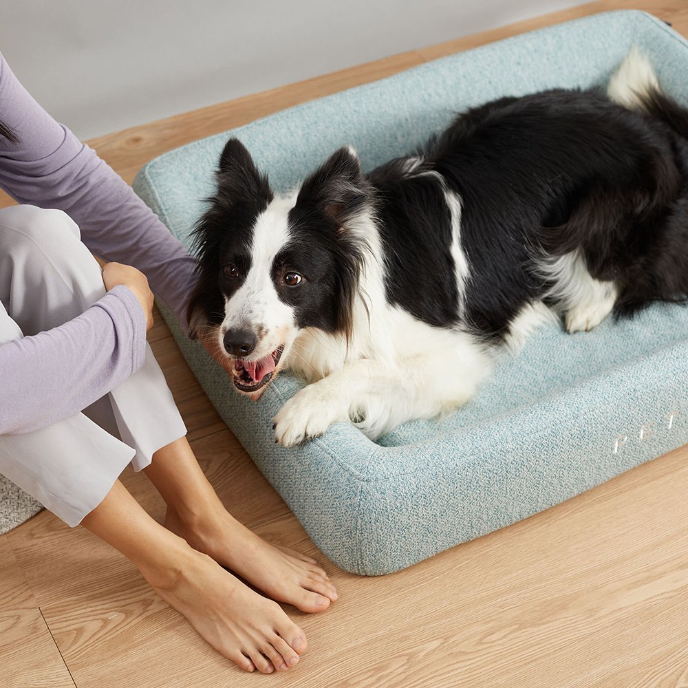 PETKIT Four Season Sleep Bed - L - DogsDomain.com.au