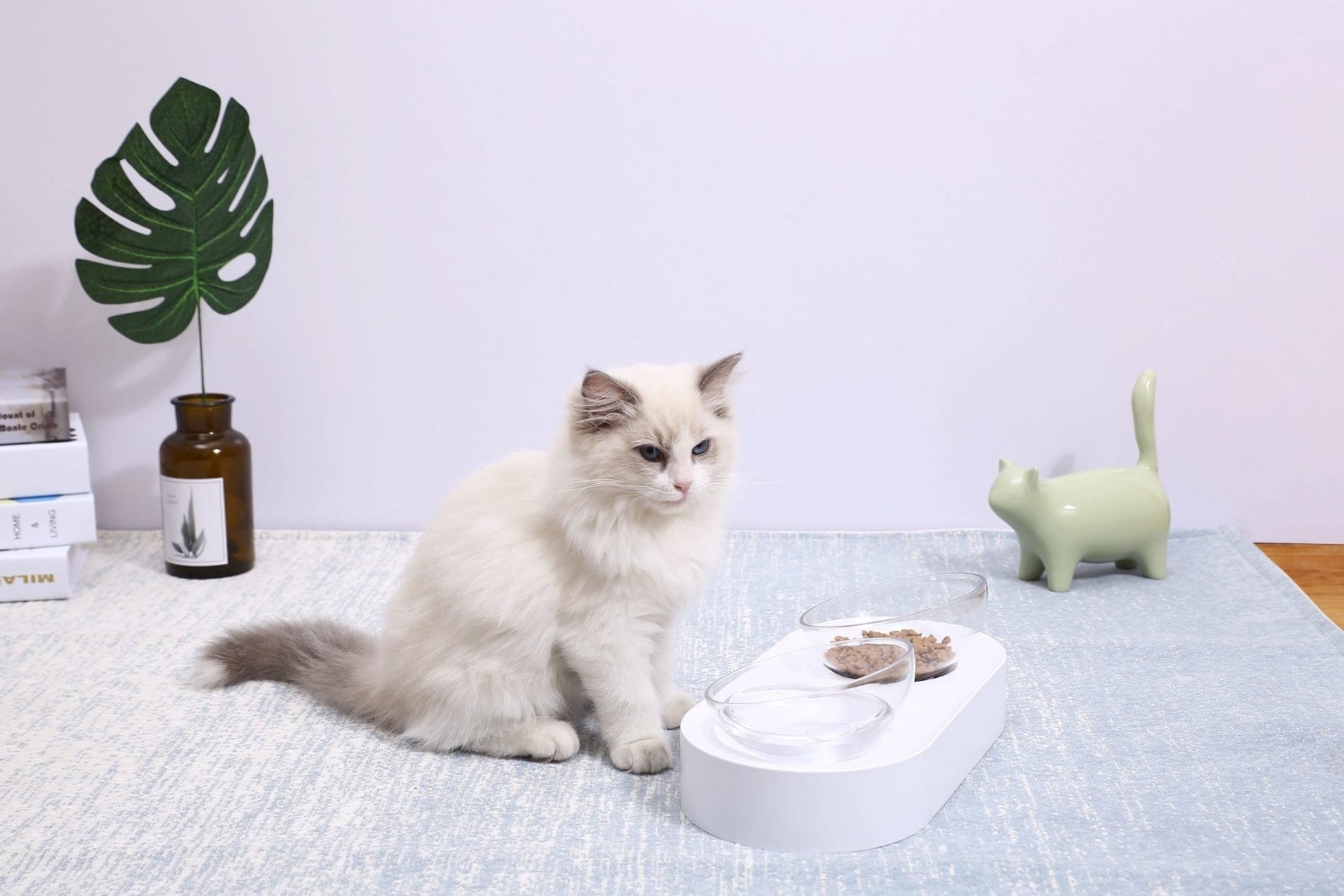 PETKIT Fresh Nano- 15 Adjustable Cat Feeding Bowl -Double - DogsDomain.com.au