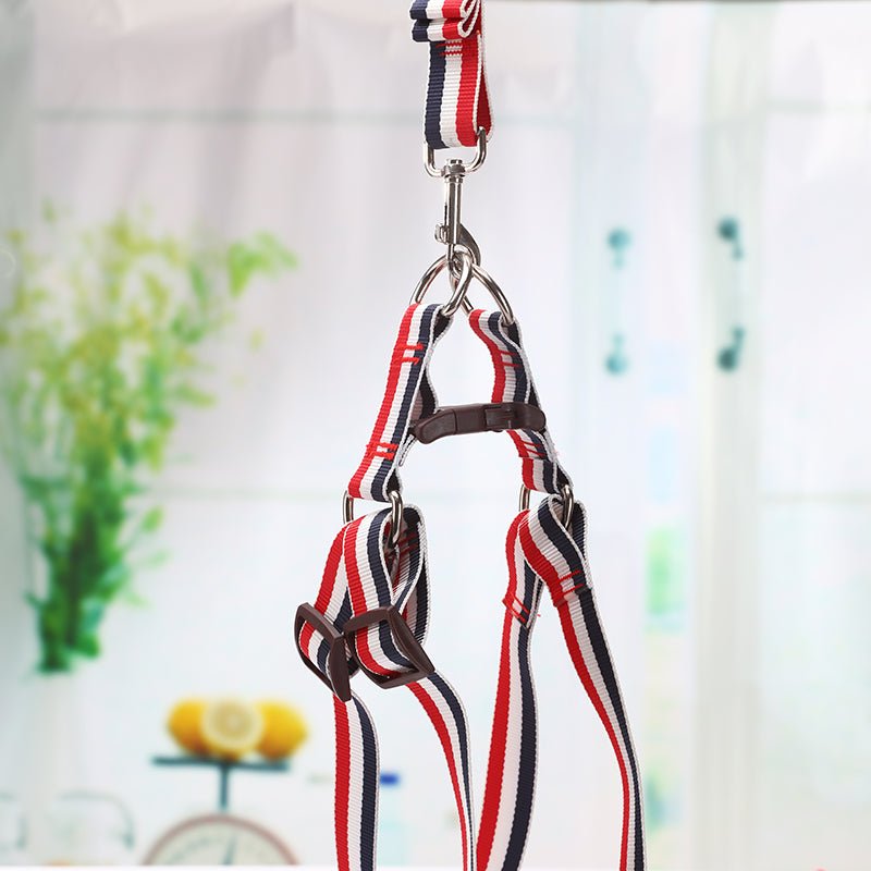 YES4PETS 2 X Large Pet Dog Harness Collar leash lead - DogsDomain.com.au