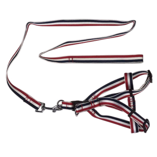 YES4PETS 2 X Large Pet Dog Harness Collar leash lead - DogsDomain.com.au