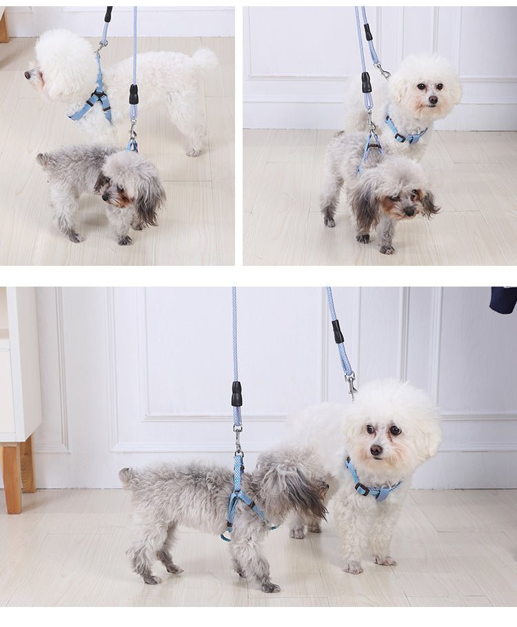 YES4PETS 2 X Medium Pet Dog Cat Puppy Kitten Rabbit Dog Harness Collar leash lead 3 Color - DogsDomain.com.au