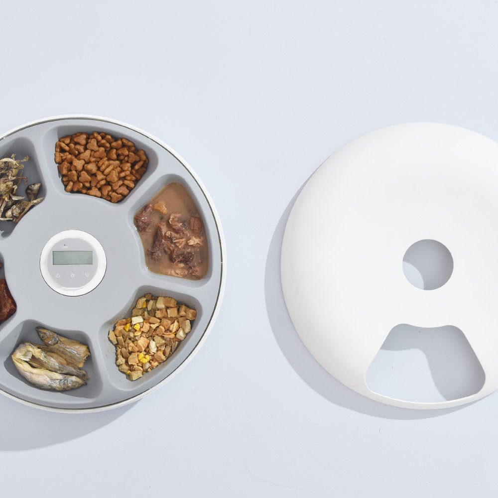 YES4PETS 6 Meal Automatic Pet Dog Cat Food Feeder Dispenser with Programmable Timer White - DogsDomain.com.au