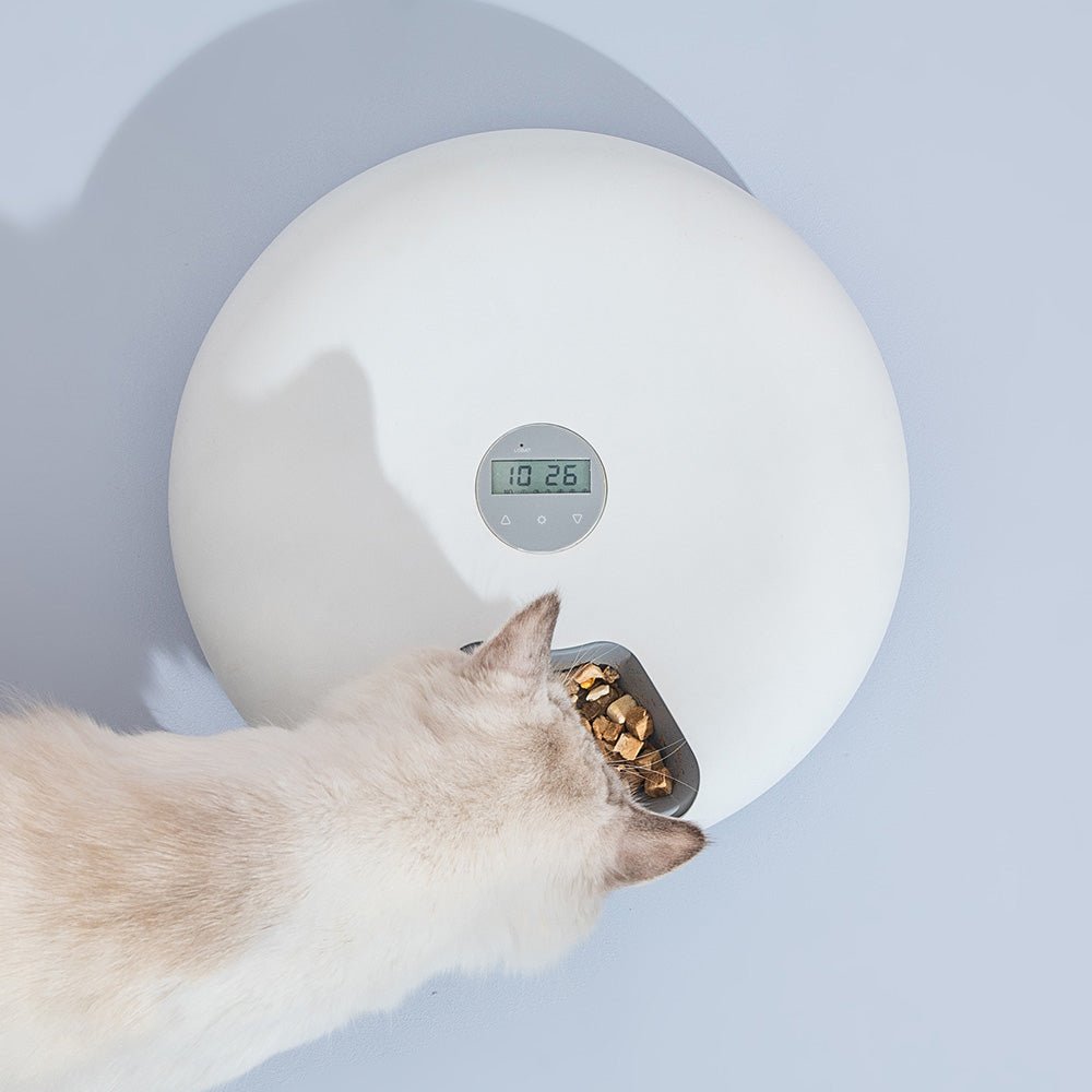 YES4PETS 6 Meal Automatic Pet Dog Cat Food Feeder Dispenser with Programmable Timer White - DogsDomain.com.au