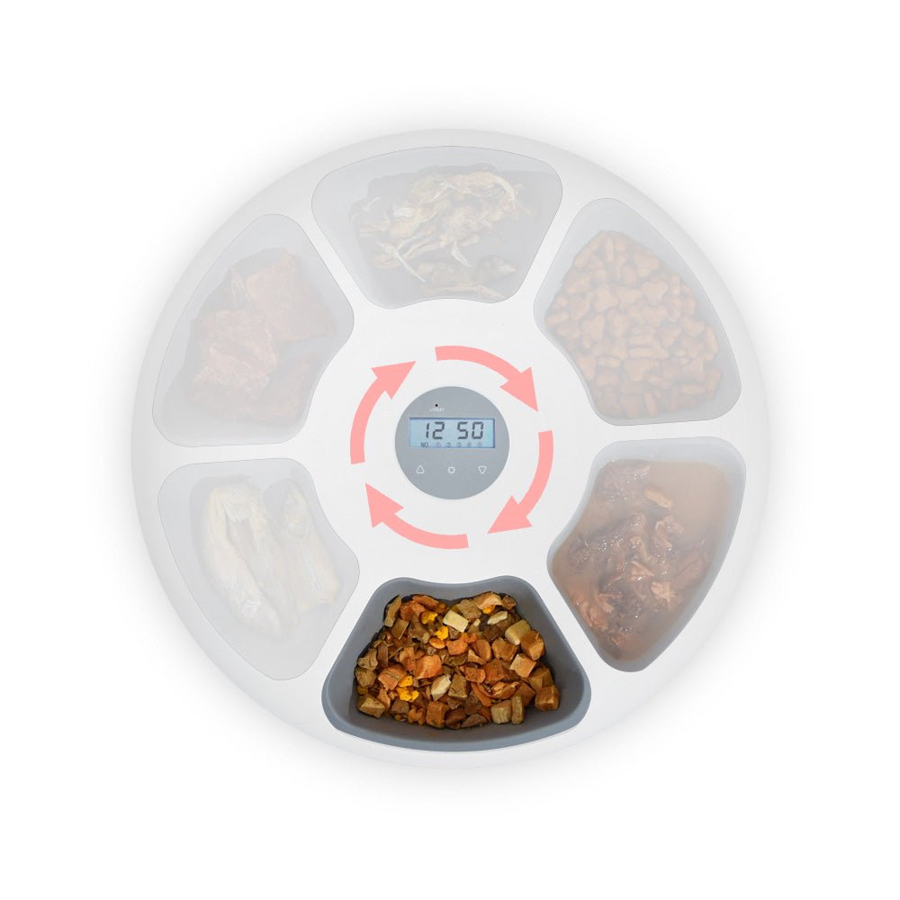 YES4PETS 6 Meal Automatic Pet Dog Cat Food Feeder Dispenser with Programmable Timer White - DogsDomain.com.au