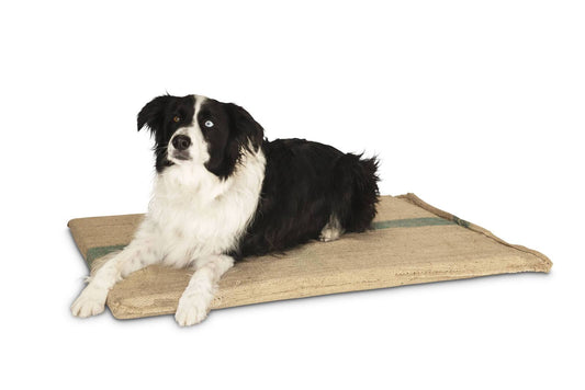 YES4PETS Large Hessian Pet Dog Puppy Bed Mat Pad House Kennel Cushion With Foam 100 x 69 cm - DogsDomain.com.au