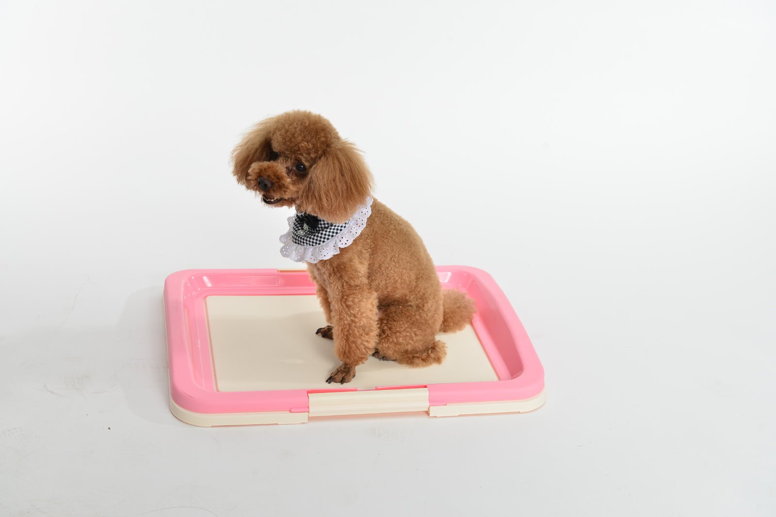 YES4PETS Large Portable Dog Potty Training Tray Pet Puppy Toilet Trays Loo Pad Mat Pink - DogsDomain.com.au