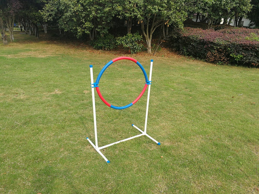 YES4PETS Portable Adjustable Dog Puppy Training Practice Jump Tyre Agility Post - DogsDomain.com.au